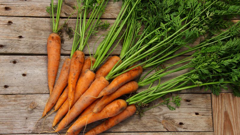 Le carote fanno ingrassare? Calorie e valori nutrizionali di questo ortaggio