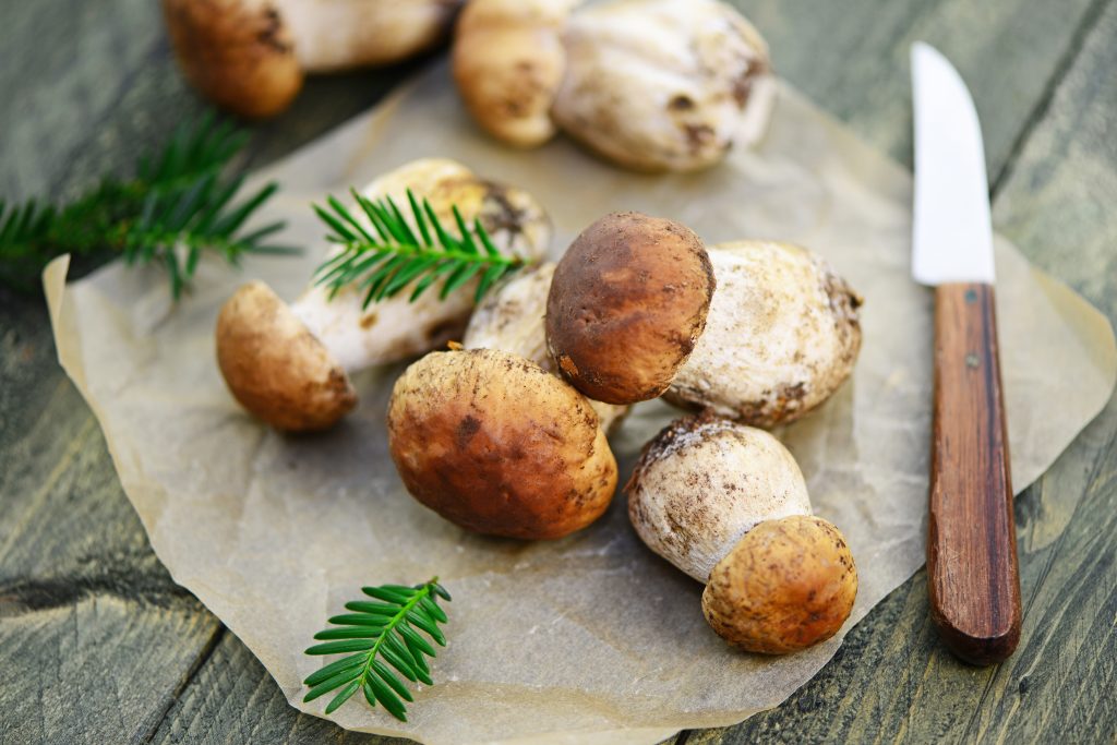 I funghi fanno ingrassare?