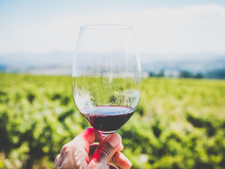 Il vino fa ingrassare? Questa verità potrebbe sconvolgerti!
