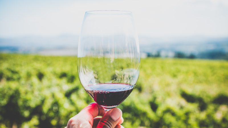 Il vino fa ingrassare? Questa verità potrebbe sconvolgerti!