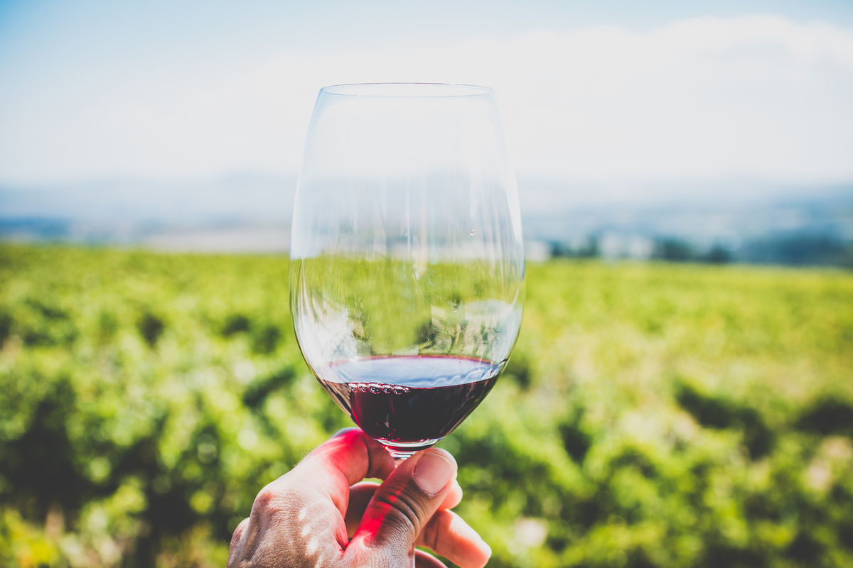 Il vino fa ingrassare? Questa verità potrebbe sconvolgerti!