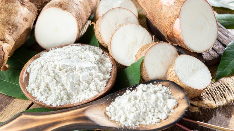 Yucca: benefici e utilizzi dell’erba