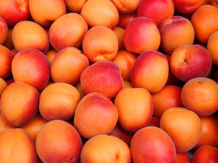 Le albicocche fanno ingrassare? Valori nutrizionali e calorie dei frutti che fanno bene all’abbronzatura