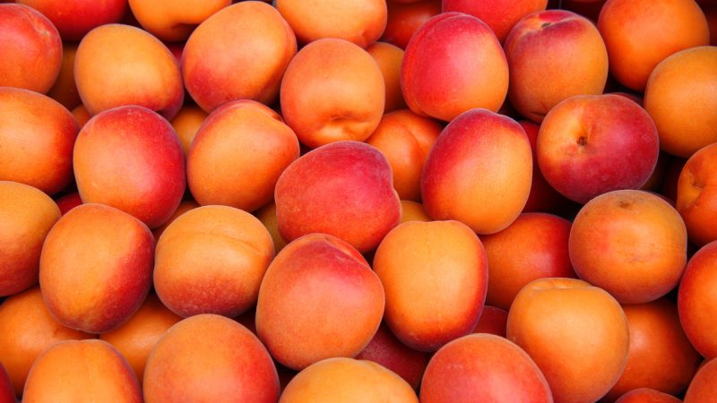 Le albicocche fanno ingrassare? Valori nutrizionali e calorie dei frutti che fanno bene all’abbronzatura