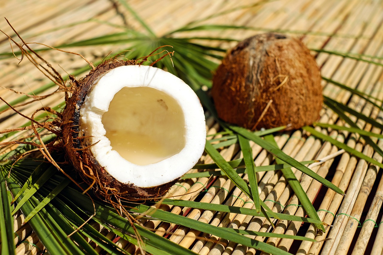 Cocco