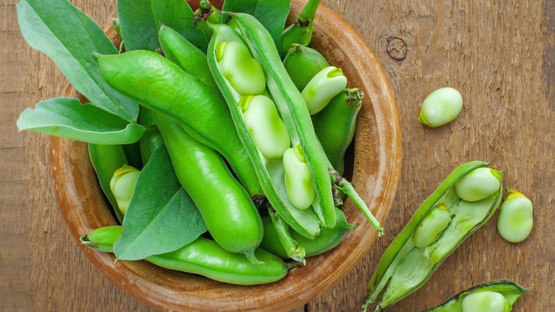 Le fave fanno ingrassare? Tutti i consigli per una sana alimentazione