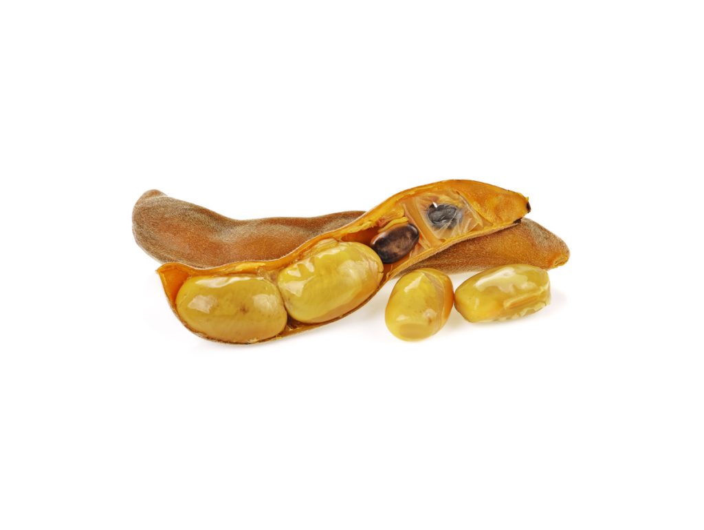 Mucuna
