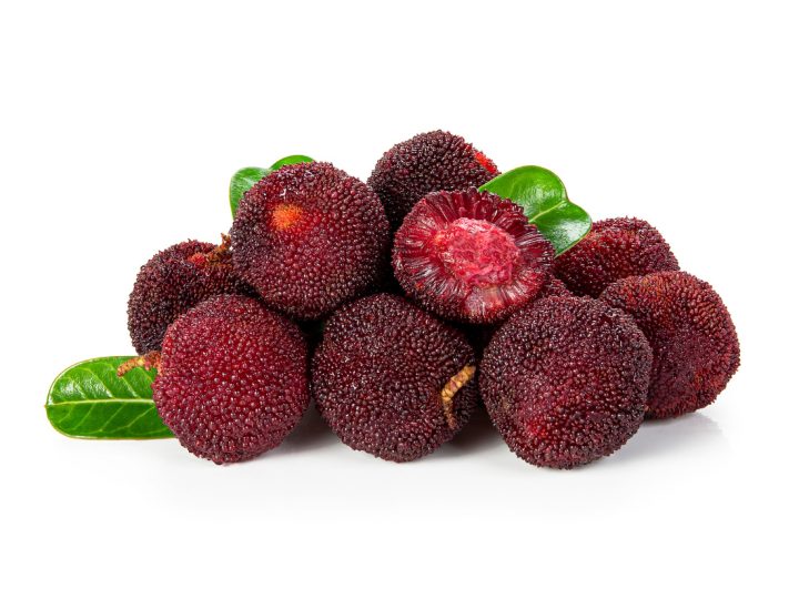Myrica: benefici e utilizzi dell’erba