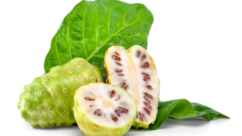 Noni: benefici e utilizzi