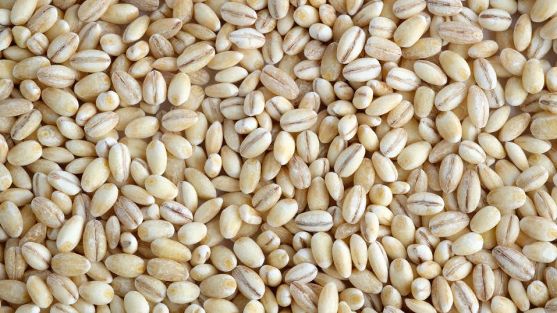 L’orzo fa ingrassare? Ecco come introdurlo in una dieta bilanciata