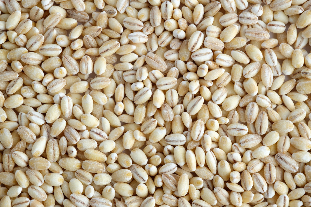 L’orzo fa ingrassare? Ecco come introdurlo in una dieta bilanciata