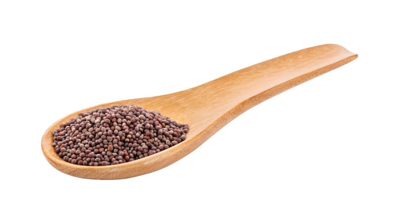 Senape Nera: benefici e utilizzi
