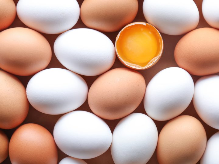 Le uova fanno ingrassare? I migliori consigli per integrarle nella tua alimentazione