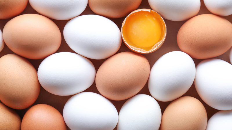 Le uova fanno ingrassare? I migliori consigli per integrarle nella tua alimentazione
