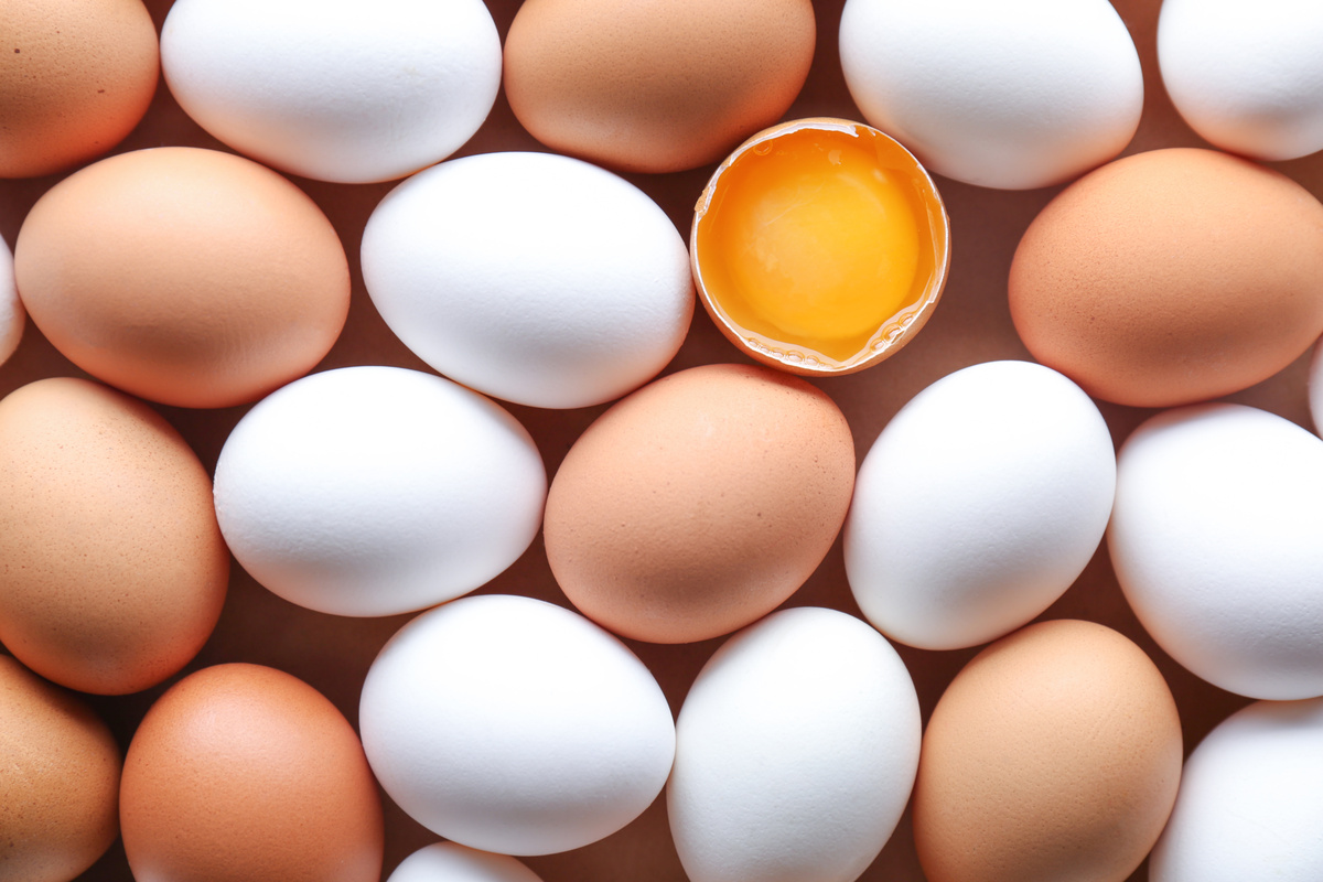 Le uova fanno ingrassare? I migliori consigli per integrarle nella tua alimentazione