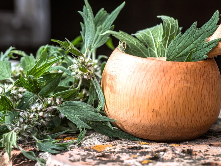 Cardiaca: benefici ed utilizzi