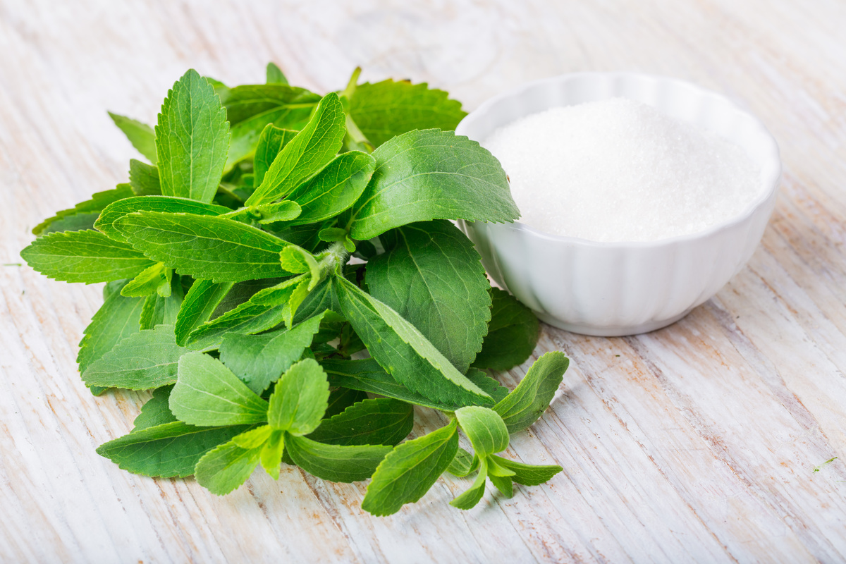 Stevia: benefici ed utilizzi