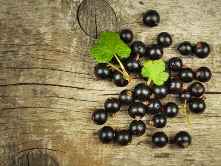 Ribes Nero: proprietà ed utilizzi