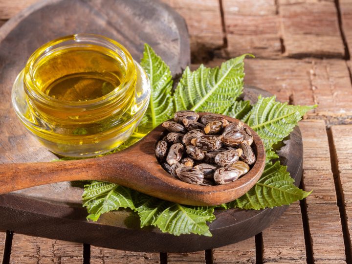 Ricino: benefici e utilizzo