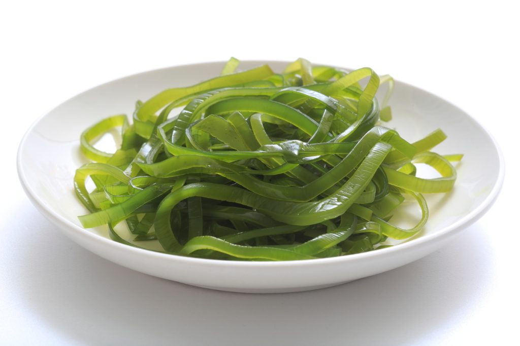 Kelp