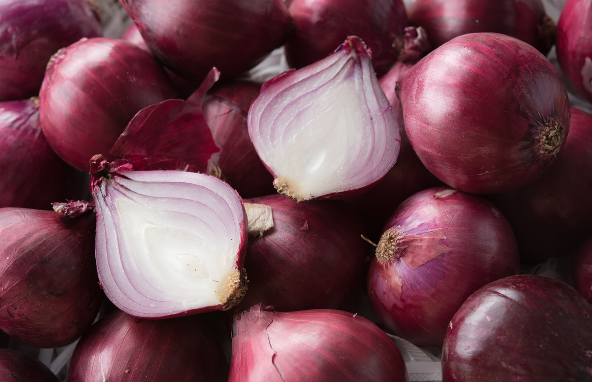 Cipolla: benefici ed uso
