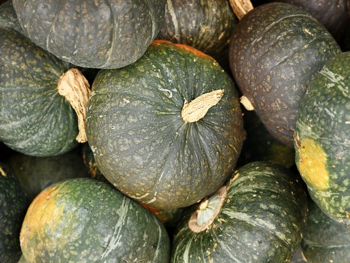 Zucca: benefici ed utilizzi