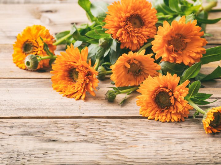 Calendula: benefici e utilizzo