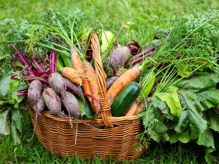 Carota: benefici e utilizzo