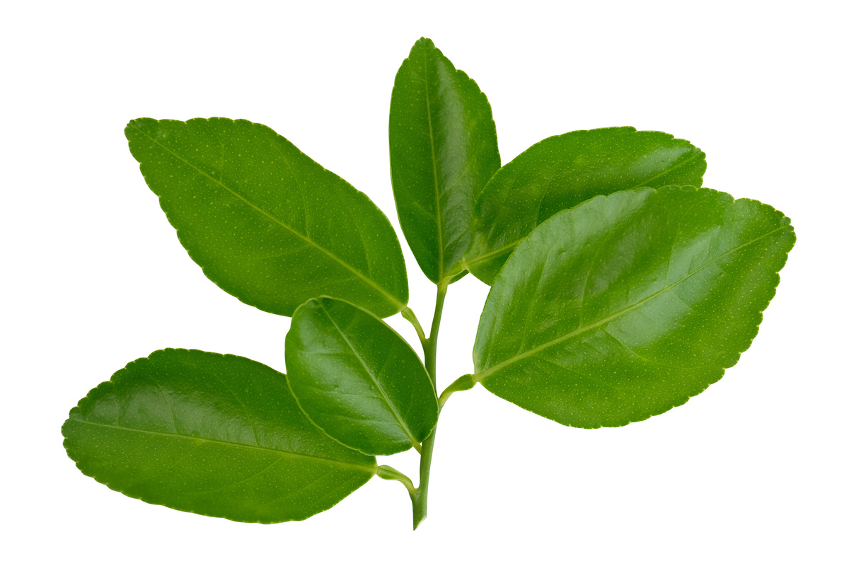 Benefici del Lime