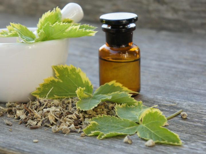 Peucedano: benefici e utilizzo