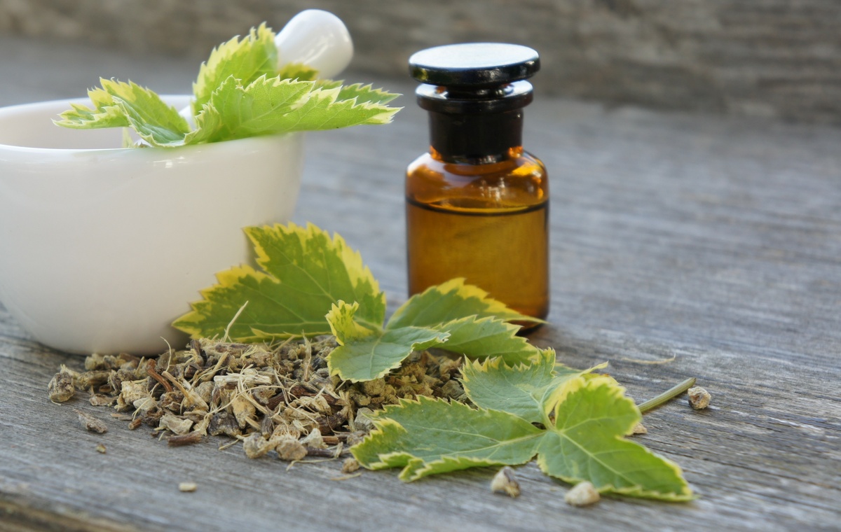Peucedano: benefici e utilizzo