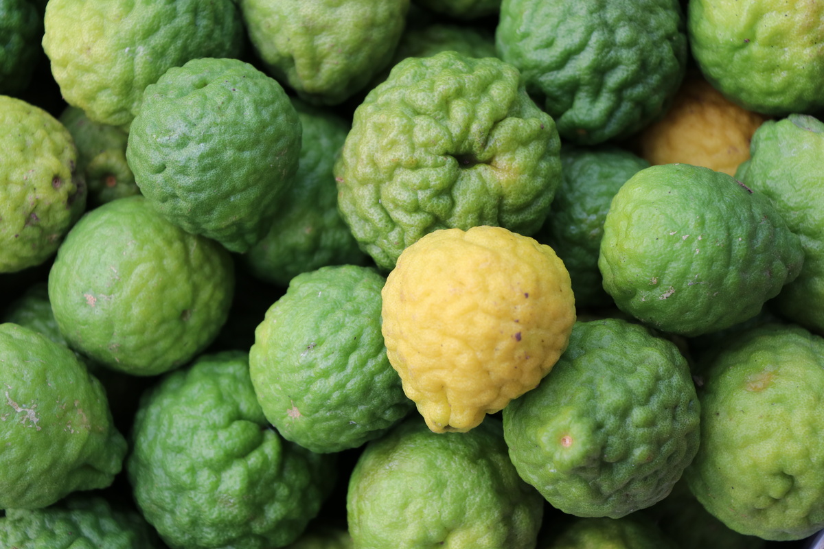 Benefici del bergamotto