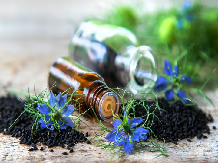 Carvi: benefici e utilizzo