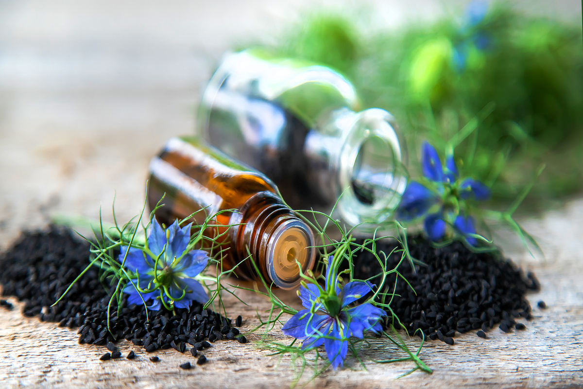 Carvi: benefici e utilizzo