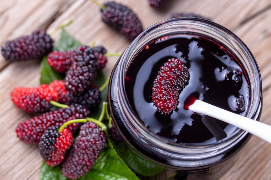 Gelso Nero: benefici e utilizzo