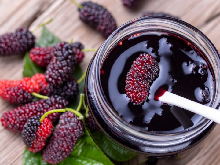 Gelso Nero: benefici e utilizzo
