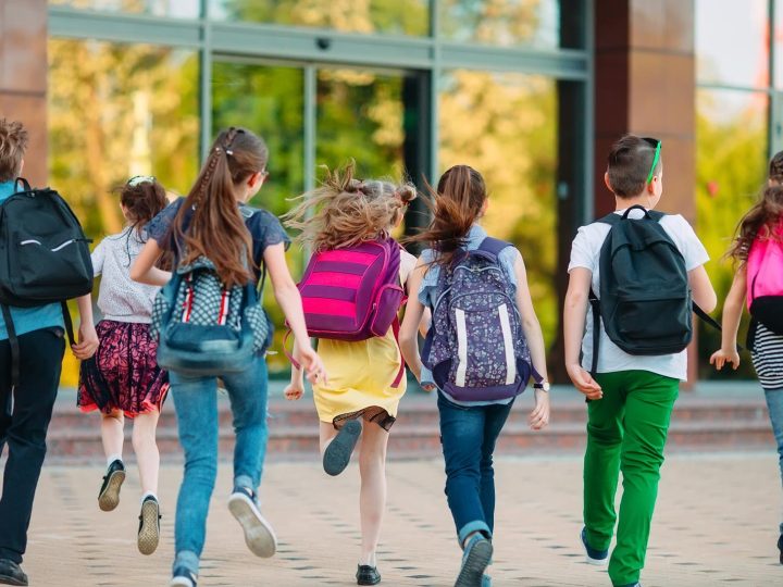 Perché è importante l’istruzione?