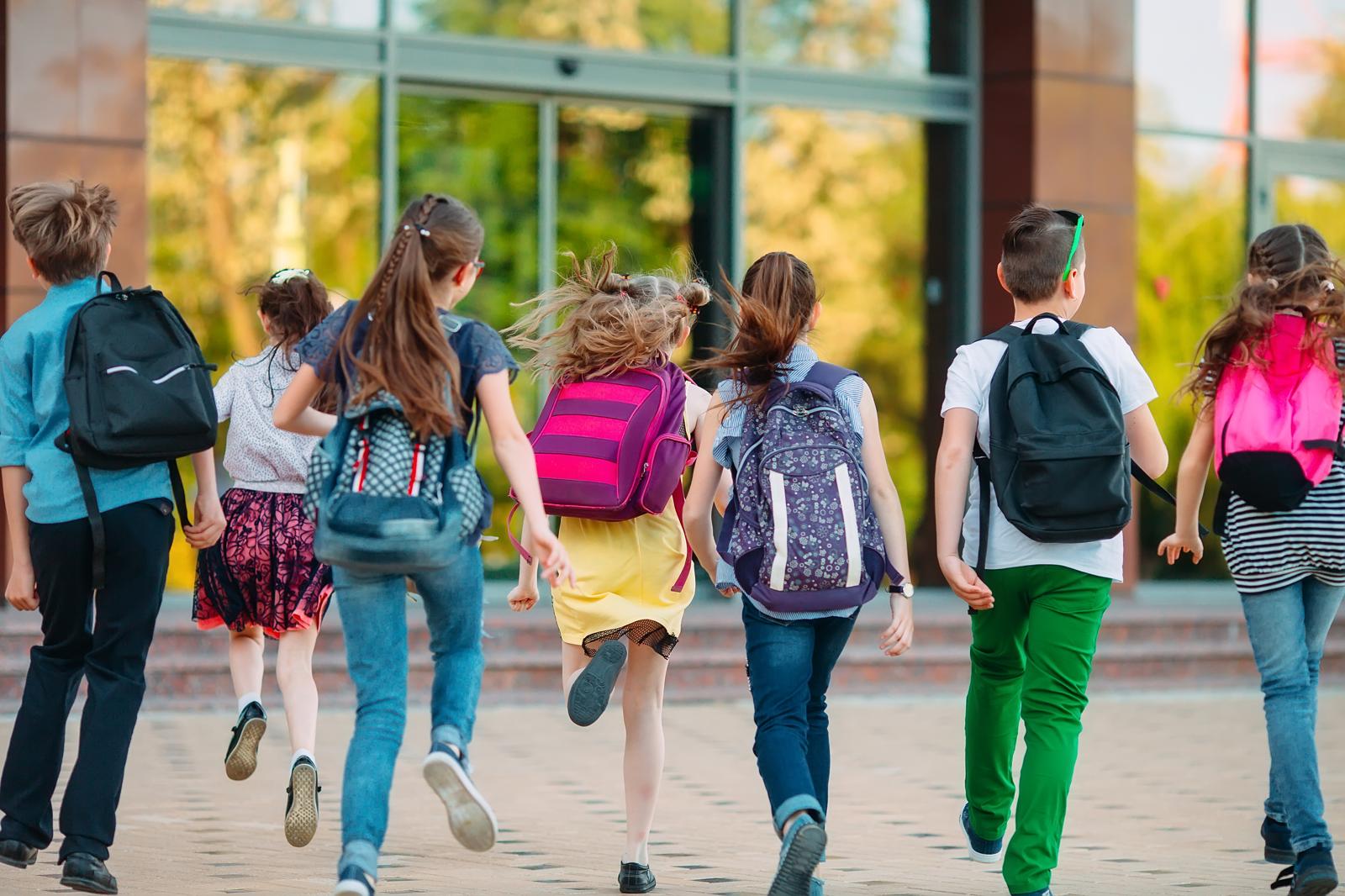 Perché è importante l’istruzione?