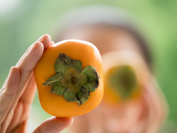 Perché i semi dei cachi hanno le posate?