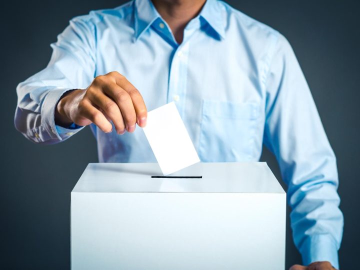 Perché si vota con la matita?