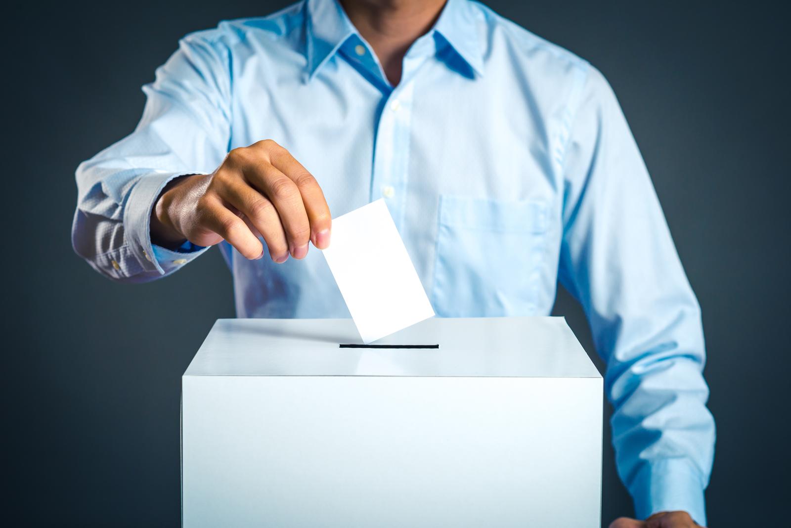 Perché si vota con la matita?