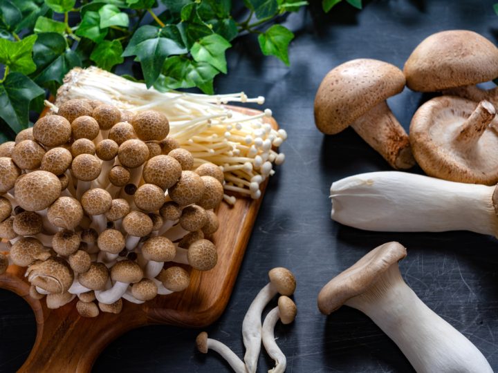 Shiitake: benefici e utilizzi