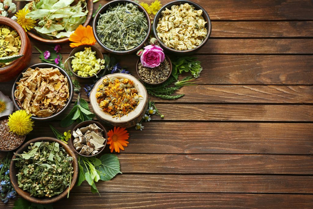 Tiglio Officinale: benefici e utilizzi