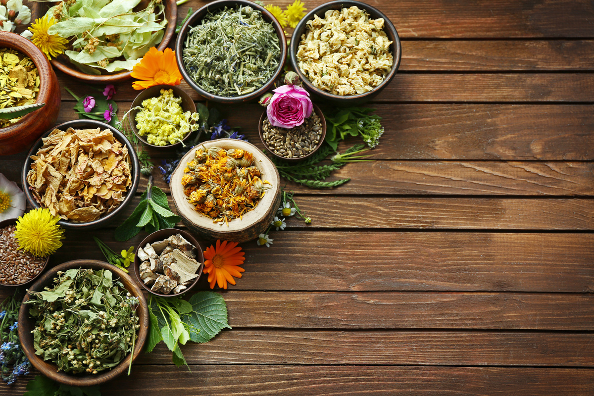 Tiglio Officinale: benefici e utilizzi