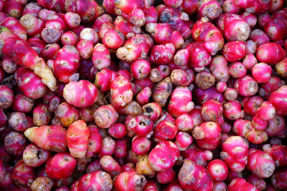 Benefici della Tuberosa
