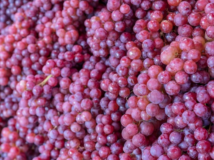 L’uva fa ingrassare? Svelati i Mitici Effetti del Frutto della Vite sulla Tua Silhouette!