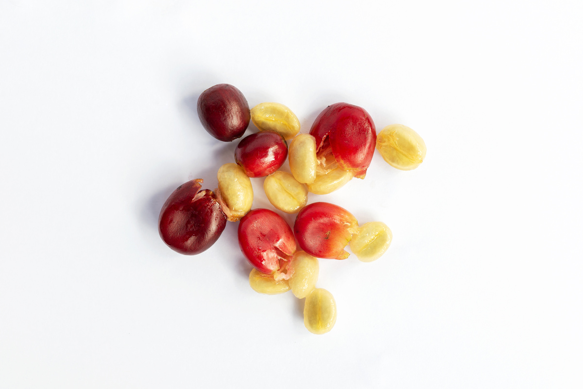 Utilizzi della Cascara Sagrada