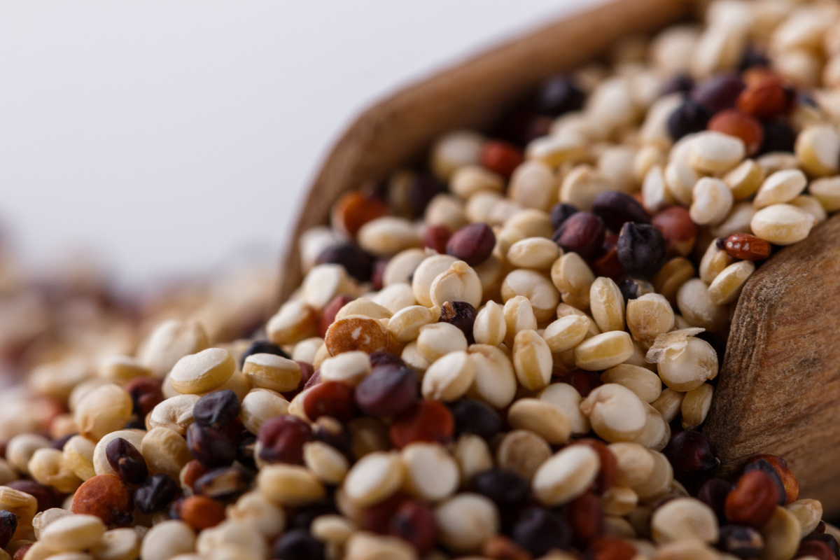 Benefici del Chenopodio Ambrosioide