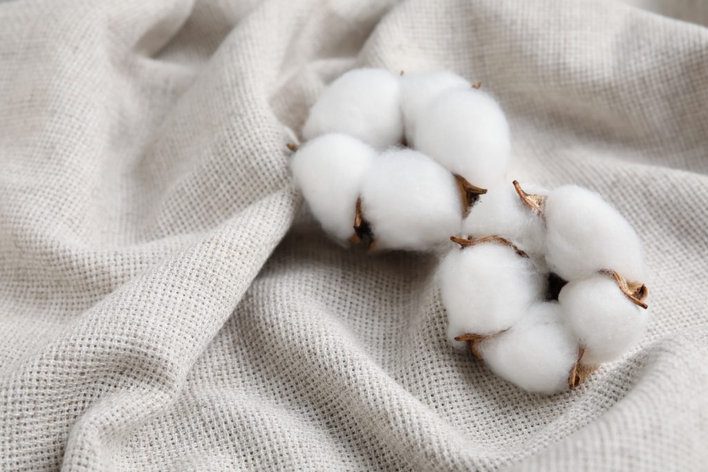 Cotone: benefici e utilizzo