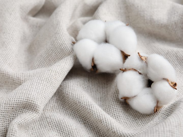 Cotone: benefici e utilizzo
